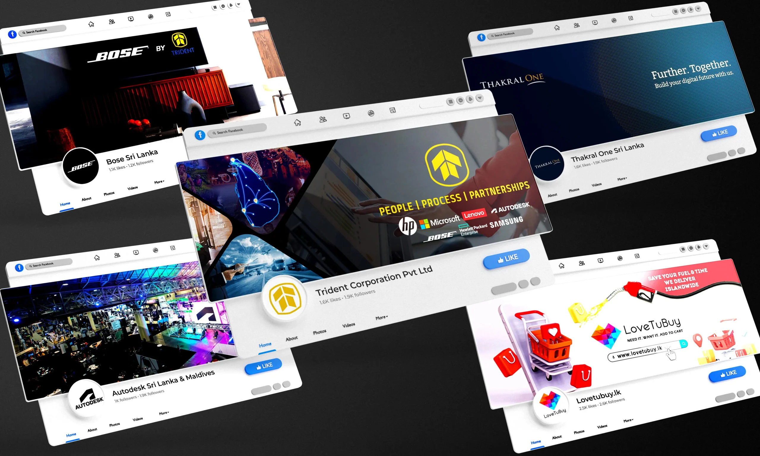 portfolio